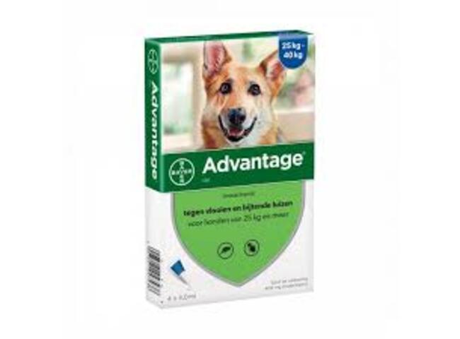 ADVANTAGE CAO 25-40KG 4ML X 4 SOL