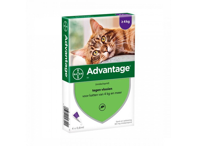 ADVANTAGE GATO 4-8KG 0,8ML X 4 SOL