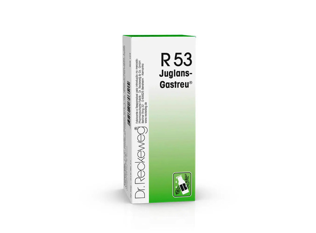 R 53 GOTAS 50ML DR. RECKEWEG