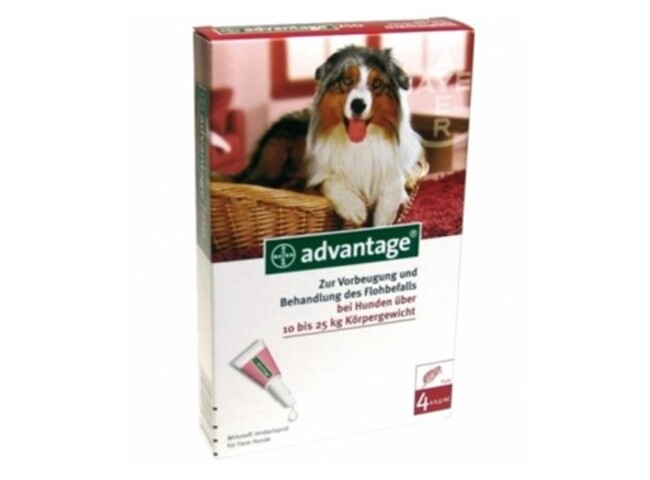 ADVANTAGE CAO 10-25KG 2,5ML X 4 SOL