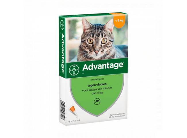 ADVANTAGE GATO 1-4KG 0,4ML X 4 SOL