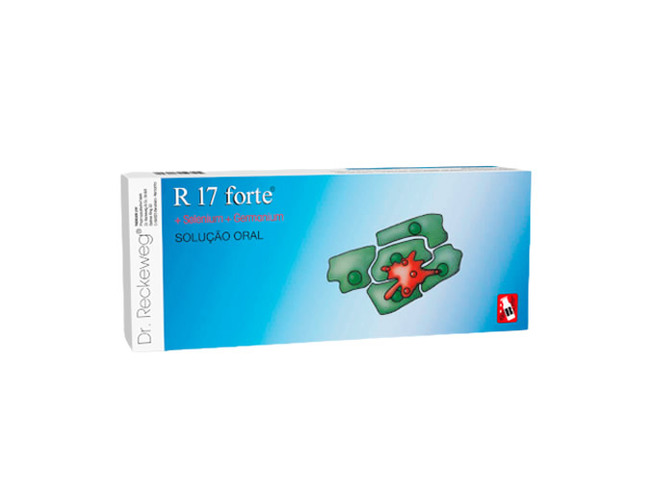 R 17 FORTE 24 AMPOLAS DR. RECKEWEG